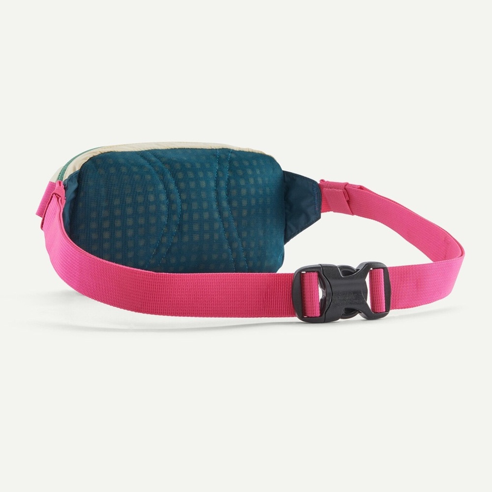 NWT Patagonia Terravia Mini Hip Pack - Picture 2 of 4